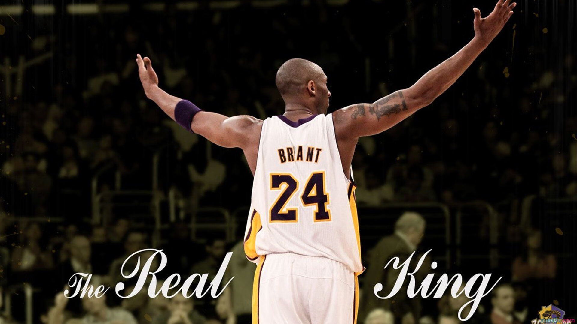 《星际争霸2》选手：微操与大局观的完美结合，星际争霸2vf